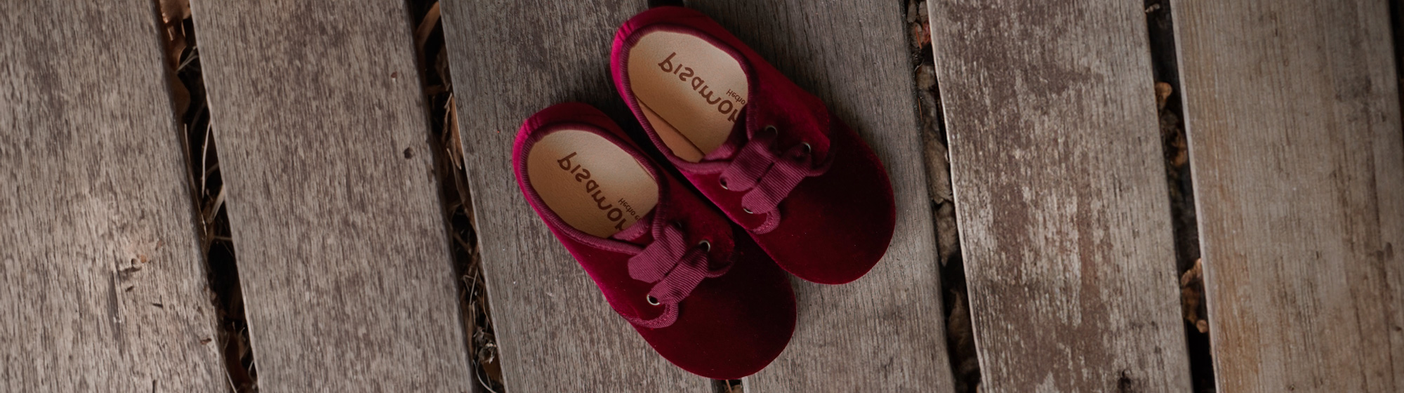 Blucher
