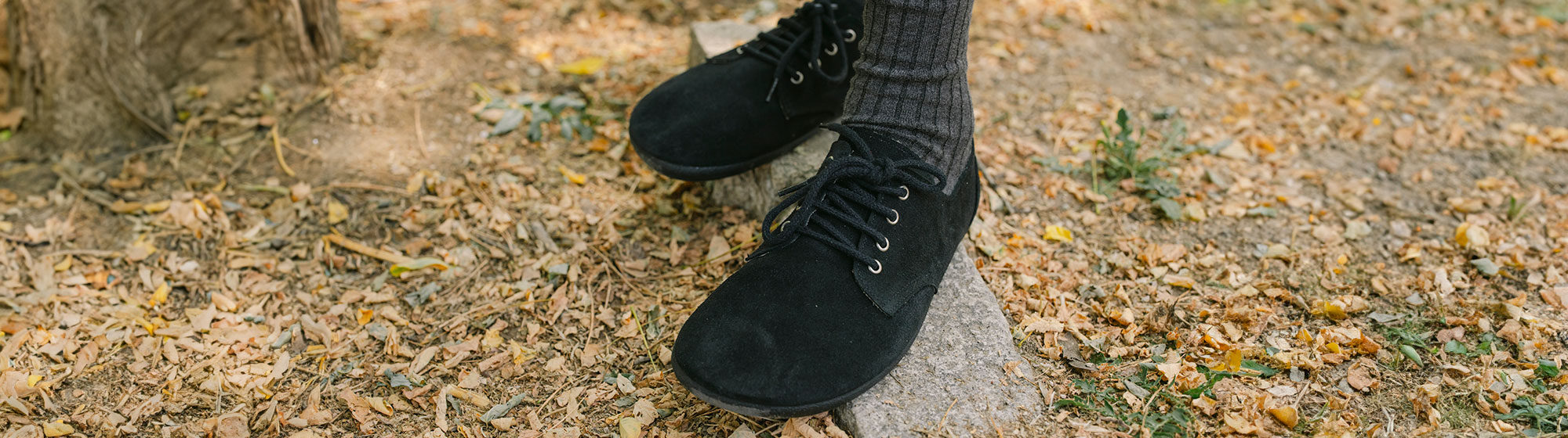 Zapatos Blucher