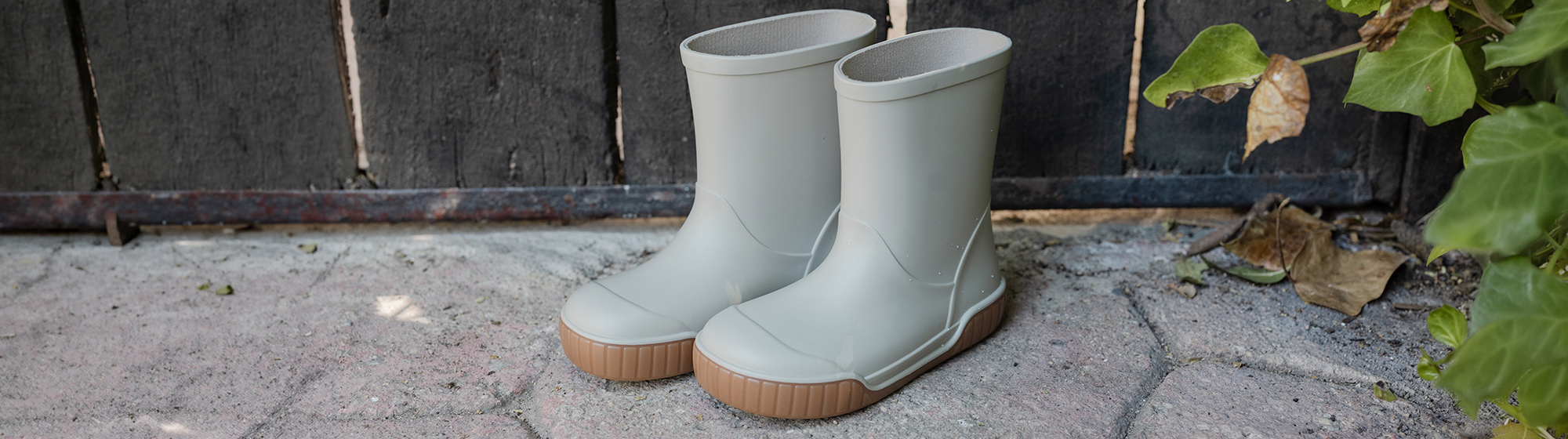 Botas de Agua