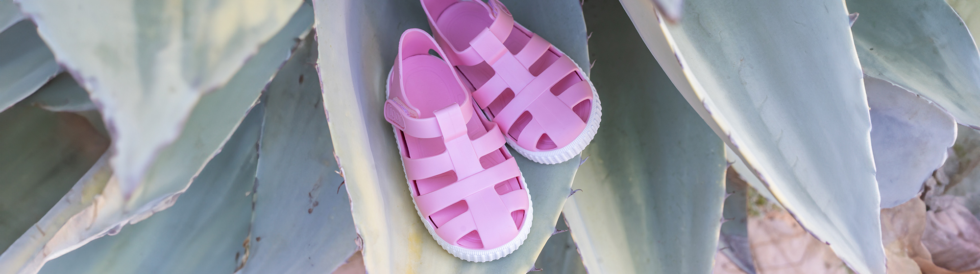 Cangrejeras y Chanclas