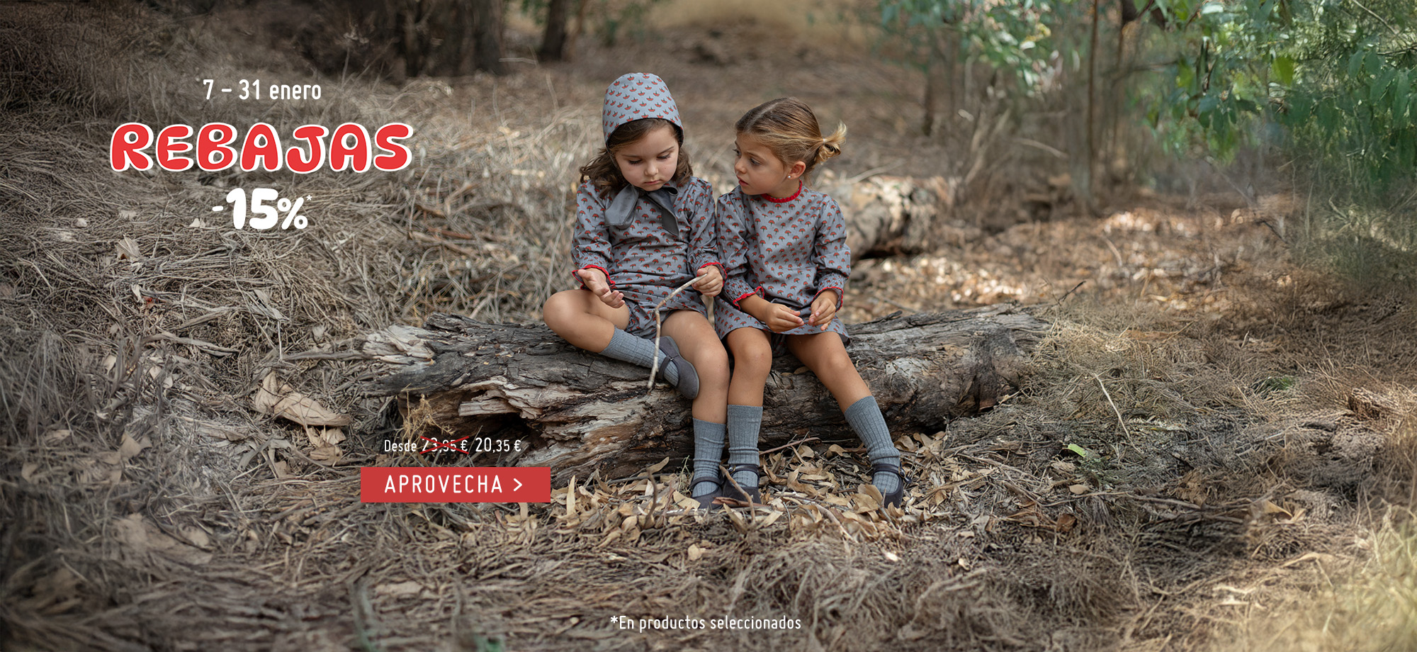 Rebajas enero 2026