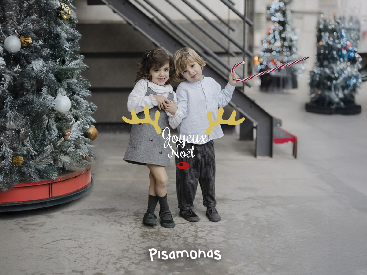 https://cdn02.pisamonas.es/media/mageplaza/blog/post/n/a/navidad2025_fr_1.jpg