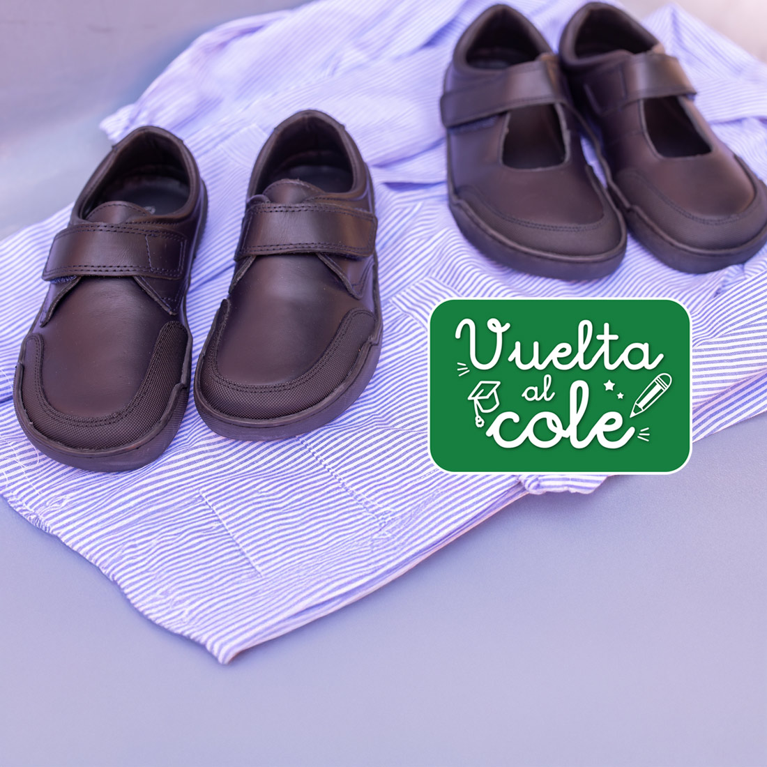 ¡FELIZ VUELTA AL COLE!
