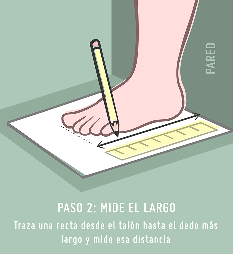 Guía de tallas Pisamonas