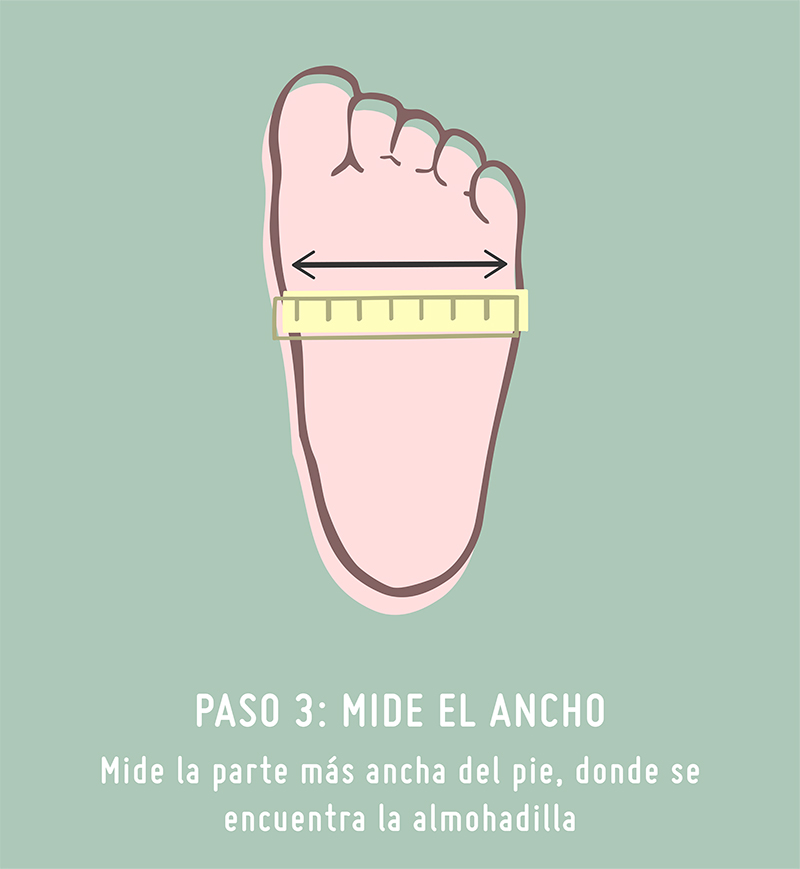 Guía de tallas Pisamonas